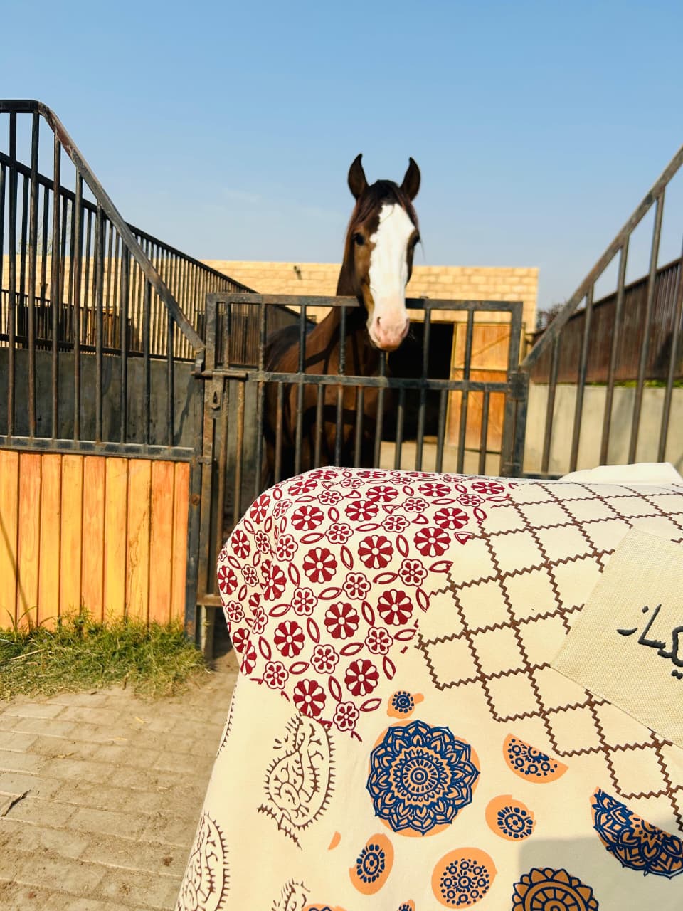 DHANAK - Beige sweat shirt